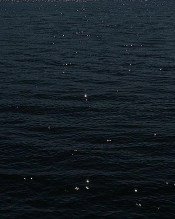 A cover of "wallpapers" cluster. The owner is renatadavila. The cluster consists of 1 element.