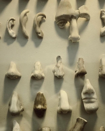 A cover of "archeology" cluster. The owner is halliek. The cluster consists of 1 element.