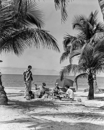 A cover of "Tabo Family Shots" cluster. The owner is juiceproduce. The cluster consists of 59 elements.