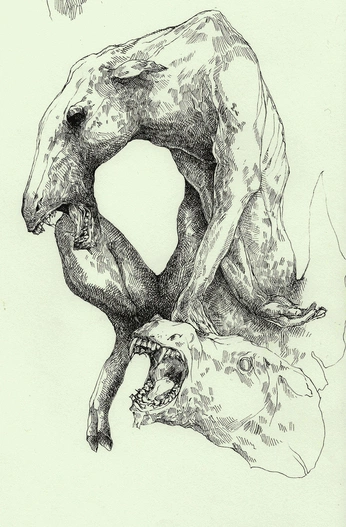 A cover of "Jake" cluster. The owner is rodriwcastel. The cluster consists of 10 elements.