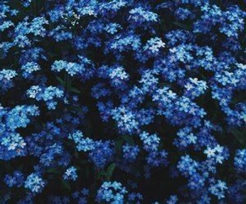 A cover of "tumblr blog" cluster. The owner is geezlouise. The cluster consists of 2 elements.