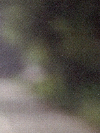 A cover of "Transparency" cluster. The owner is zurirosalino. The cluster consists of 3 elements.