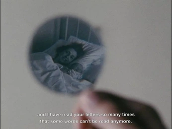 A cover of "拍照片" cluster. The owner is zhenroses. The cluster consists of 7 elements.