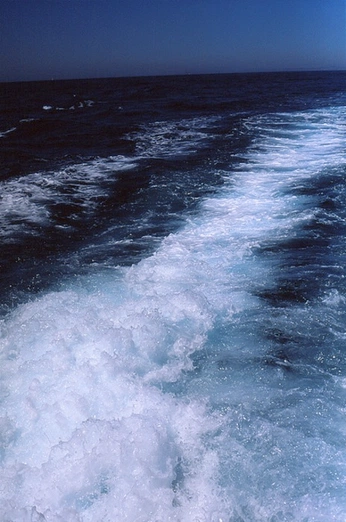 A cover of "Ocean" cluster. The owner is tina.me. The cluster consists of 9 elements.