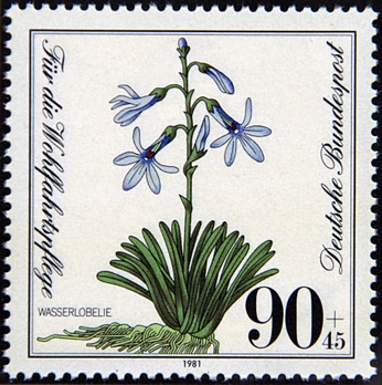 A cover of "Spotify Covers" cluster. The owner is trystyn. The cluster consists of 6 elements.