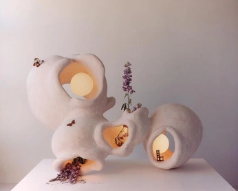 A cover of "Plants" cluster. The owner is melina222. The cluster consists of 1 element.