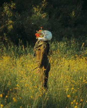 A cover of "Cool concepts" cluster. The owner is krishnababua. The cluster consists of 236 elements.