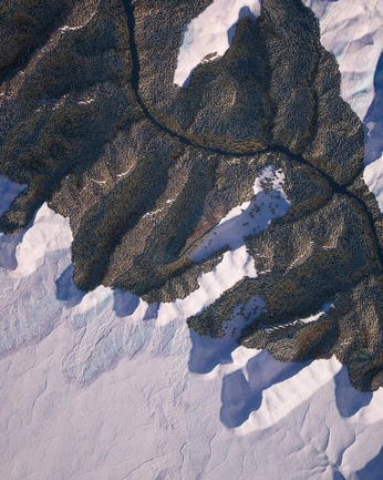 A cover of "DACIA" cluster. The owner is wilfrieddvg. The cluster consists of 14 elements.