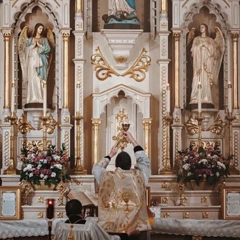 A cover of "Encounter" cluster. The owner is rosalielangley. The cluster consists of 12 elements.