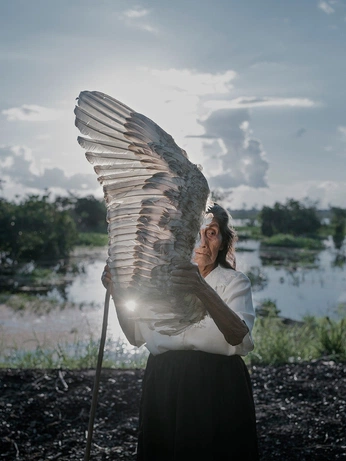 A cover of "Birds Amazon" cluster. The owner is marcellaechavarr. The cluster consists of 11 elements.