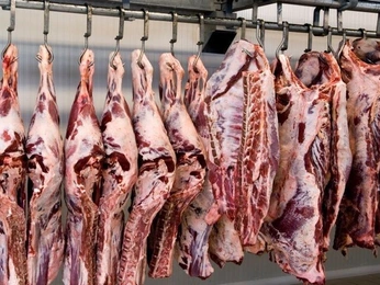 A cover of "Aug '25" cluster. The owner is coileansheridan. The cluster consists of 1 element.