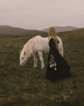 A cover of "Peace" cluster. The owner is butterfly42. The cluster consists of 5 elements.