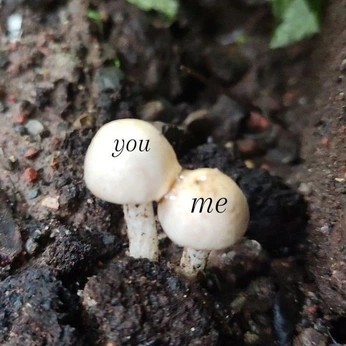 A cover of "Us in another universe" cluster. The owner is yupsin. The cluster description is "Yeah, me and her.". The cluster consists of 15 elements.