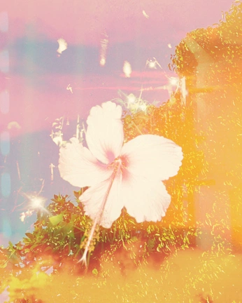 A cover of "Eyeshold" cluster. The owner is eyeshold. The cluster consists of 1 element.