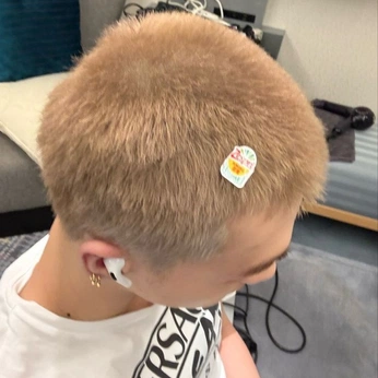 A cover of "Hyune <3" cluster. The owner is hyune. The cluster consists of 79 elements.