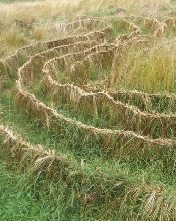 A cover of "Organico" cluster. The owner is picopicon. The cluster consists of 21 elements.