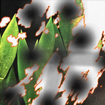 A cover of "Outdoorsy Graphics" cluster. The owner is embohin. The cluster consists of 95 elements.