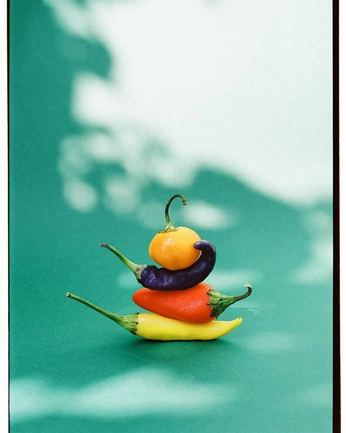 A cover of "Set design" cluster. The owner is dvornikov. The cluster consists of 1 element.