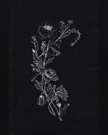 A cover of "FLOWERS🪻" cluster. The owner is oh.katyah. The cluster consists of 9 elements.