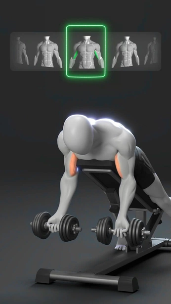 A cover of "Biceps" cluster. The owner is mr.wil. The cluster consists of 2 elements.