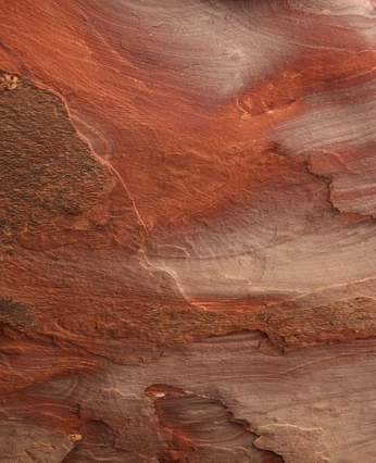 A cover of "pizza" cluster. The owner is moongi. The cluster consists of 9 elements.