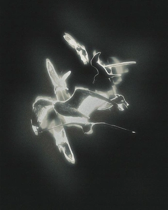 A cover of "Spirit" cluster. The owner is loredelagarza99. The cluster consists of 1 element.