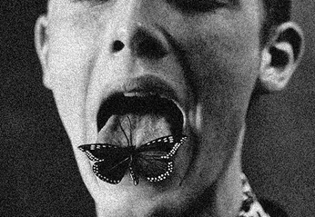 A cover of "Foto" cluster. The owner is malmirada. The cluster consists of 1 element.