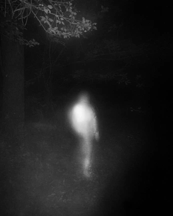 A cover of "Fear" cluster. The owner is louiseeee. The cluster consists of 2 elements.