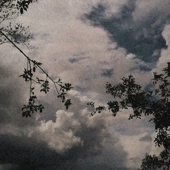 A cover of "Nature/Photography" cluster. The owner is stxdarkytp. The cluster consists of 8 elements.