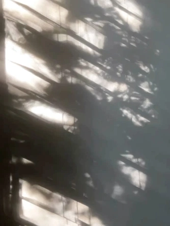 A cover of "SAINTE VIE" cluster. The owner is memoshot. The cluster consists of 18 elements.