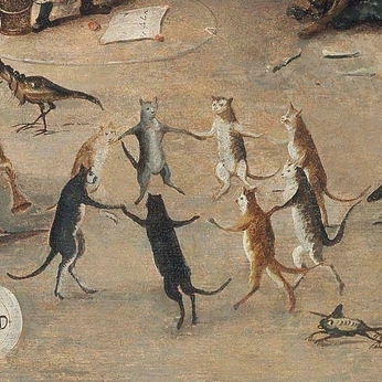 A cover of "cats" cluster. The owner is gmal7313. The cluster description is "cats". The cluster consists of 1 element.