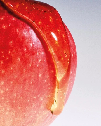 A cover of "holiday" cluster. The owner is tamardror. The cluster consists of 35 elements.