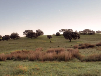 A cover of "etc." cluster. The owner is mocblanc. The cluster consists of 14 elements.