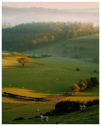 A cover of "Drawing inspo" cluster. The owner is ka345sh. The cluster consists of 5 elements.