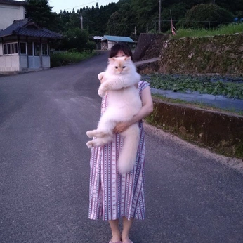 A cover of "🍈⋆ ˚｡⋆୨୧˚🎀" cluster. The owner is idk0020505. The cluster consists of 580 elements.