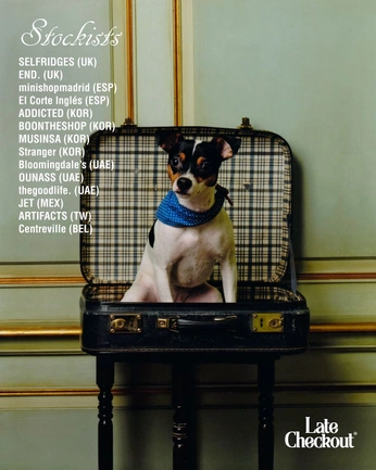 A cover of "Perritos" cluster. The owner is mmmariela. The cluster consists of 8 elements.