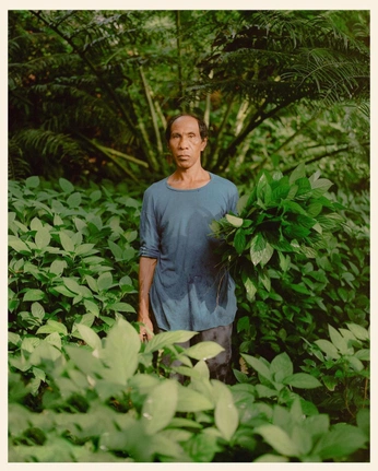 A cover of "Environmental Portrait" cluster. The owner is woodonline. The cluster consists of 5 elements.