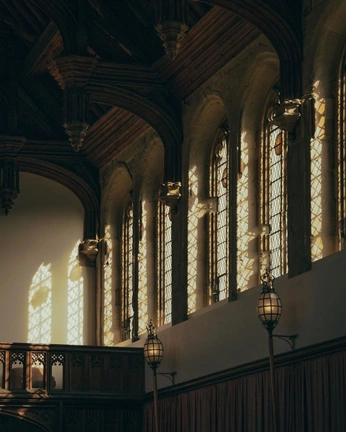 A cover of "Design Brief: Lighting" cluster. The owner is hessctdesigns. The cluster consists of 16 elements.