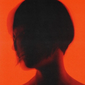 A cover of "Color" cluster. The owner is 123loc321. The cluster consists of 17 elements.