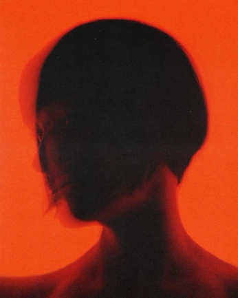 A cover of "portrait inspo" cluster. The owner is o0naledi0o. The cluster consists of 38 elements.