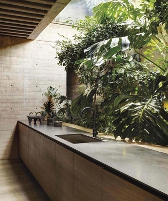 A cover of "Kitchen" cluster. The owner is ximonio. The cluster consists of 1 element.