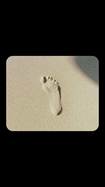 A cover of "New boards" cluster. The owner is canardo. The cluster consists of 2 elements.