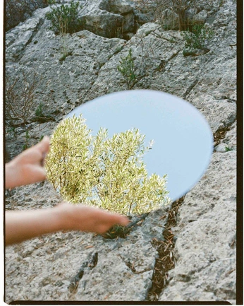 A cover of "Photography" cluster. The owner is imcarolina. The cluster consists of 22 elements. 2 create it.