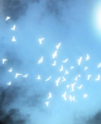 A cover of "Sky" cluster. The owner is skyandsea. The cluster consists of 2 elements.