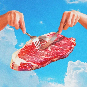 A cover of "Fake meat video" cluster. The owner is mariaisabel. The cluster consists of 4 elements.