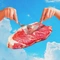 Cover of Fake meat v... cluster