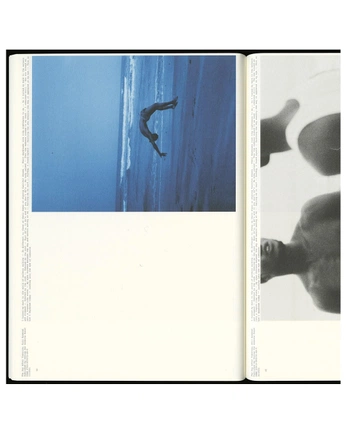 A cover of "BERLIN INSPO VISION25-26" cluster. The owner is alima. The cluster consists of 33 elements.