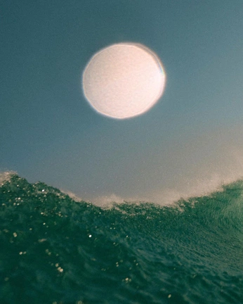 A cover of "nature" cluster. The owner is kclydiaa. The cluster consists of 8 elements.