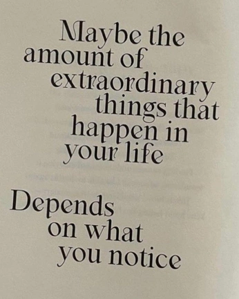 A cover of "quotes" cluster. The owner is lanmik. The cluster consists of 5 elements.