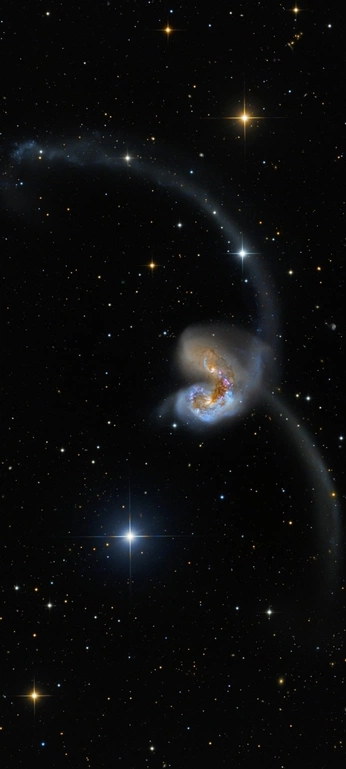 A cover of "Nature 🪐🌺" cluster. The owner is babyleaf. The cluster consists of 6 elements.